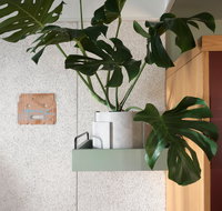 ACE Hotel Sydney - Northern Rivers Accommodation