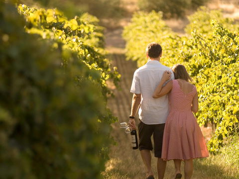 Novotel Barossa Valley Resort - Northern Rivers Accommodation 1
