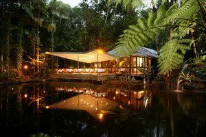 Daintree Eco Lodge & Spa - Northern Rivers Accommodation 2
