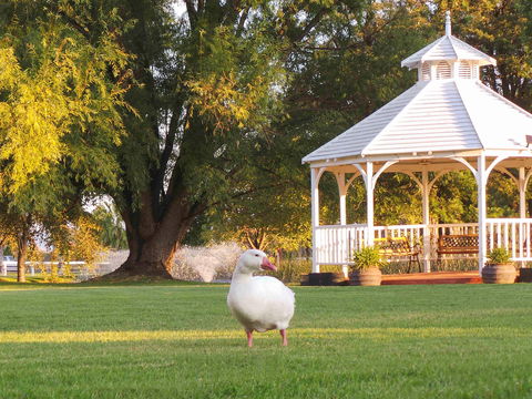 Parklands Resort & Conference Ctr - Northern Rivers Accommodation 1