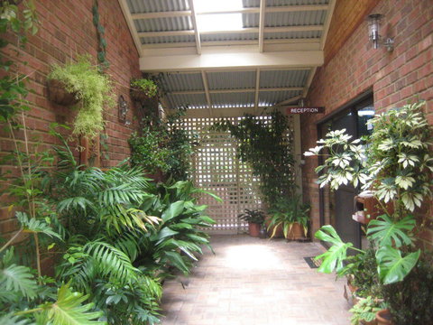 Edge of the Forest - Northern Rivers Accommodation 1