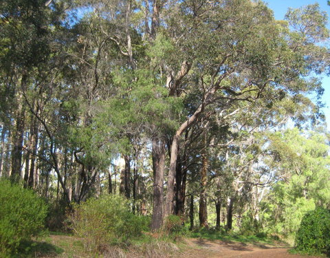 Edge of the Forest - Northern Rivers Accommodation 3