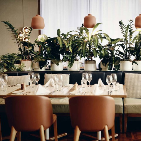 Amora Hotel Jamison Sydney - Northern Rivers Accommodation 12