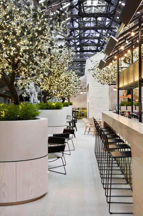 Ovolo Woolloomooloo - Northern Rivers Accommodation 0