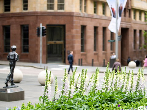 Mercure Sydney Martin Place - Northern Rivers Accommodation 14