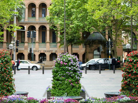 Mercure Sydney Martin Place - Northern Rivers Accommodation 16
