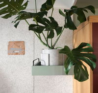 ACE Hotel Sydney - Northern Rivers Accommodation