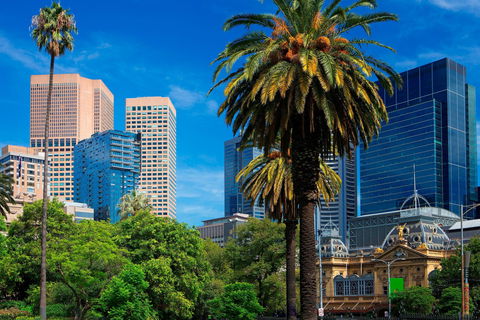 Sheraton Melbourne Hotel - Northern Rivers Accommodation 0