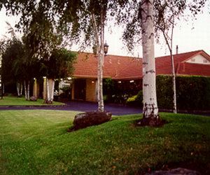 Comfort Inn Silver Birch - Northern Rivers Accommodation 0