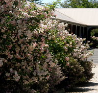 Wine Village Motor Inn - Northern Rivers Accommodation