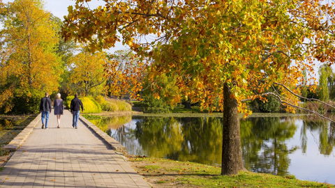 Crowne Plaza Canberra - Northern Rivers Accommodation 17