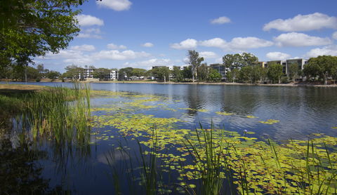 Itara & Jacana Apartments - Northern Rivers Accommodation 2