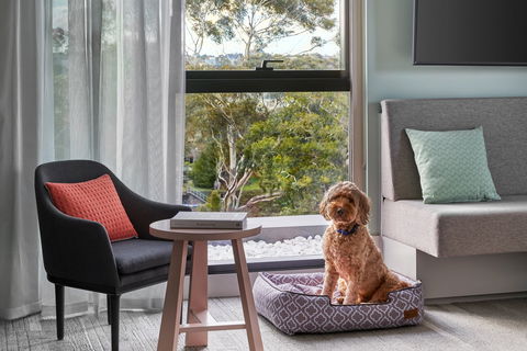Element Melbourne Richmond - Northern Rivers Accommodation 2
