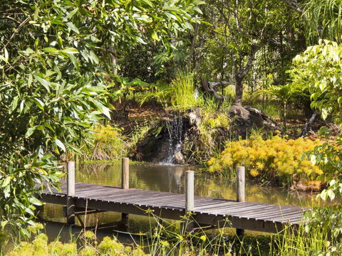 Cedar Park Rainforest Resort - Northern Rivers Accommodation 0