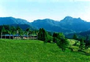 Hillcrest Mountain View Retreat - Northern Rivers Accommodation 2