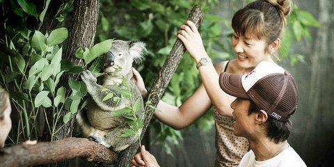 Pullman Reef Hotel Casino - Northern Rivers Accommodation 14