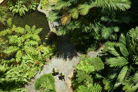 DoubleTree by Hilton Cairns - Northern Rivers Accommodation 2