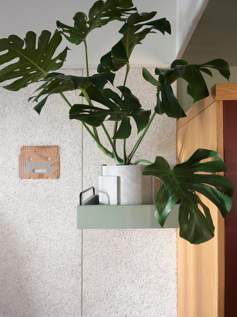 ACE Hotel Sydney - Northern Rivers Accommodation 0