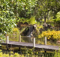 Cedar Park Rainforest Resort - Northern Rivers Accommodation