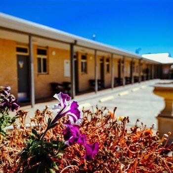 MAS Country Club Motor Inn - Northern Rivers Accommodation 1