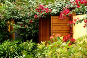 Pink Flamingo - Northern Rivers Accommodation 0