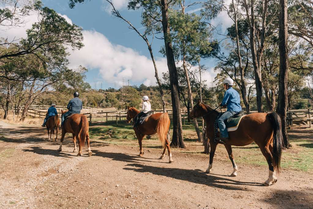 Ringarooma TAS Northern Rivers Accommodation