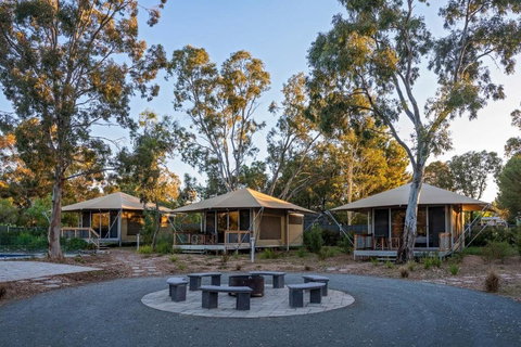 Discovery Parks Barossa Valley - Northern Rivers Accommodation 0