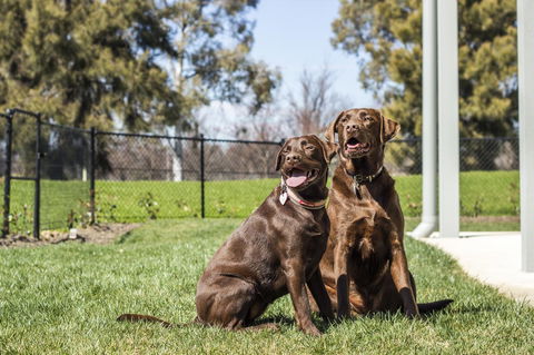 Abode Narrabundah - Northern Rivers Accommodation 21