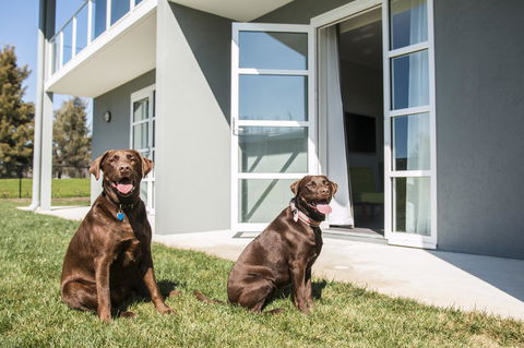 Abode Narrabundah - Northern Rivers Accommodation 20