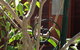 The Cook Cottage - thumb 10