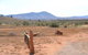 Windana Cottages - thumb 22