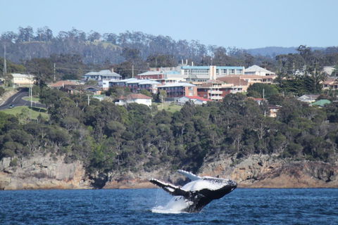 Heritage House Motel & Units - Northern Rivers Accommodation 27