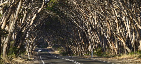 Mercure Kangaroo Island Lodge - Northern Rivers Accommodation 40