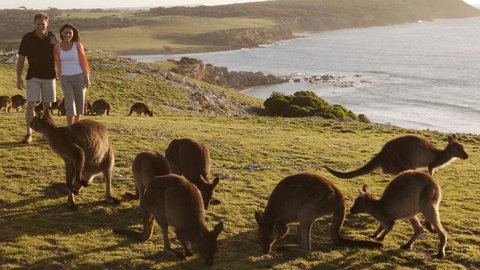 Kangaroo Island Seafront - Northern Rivers Accommodation 13