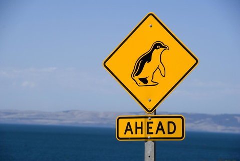 Kangaroo Island Seafront - Northern Rivers Accommodation 43