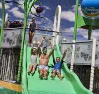 Discovery Parks  Barossa Valley - Northern Rivers Accommodation