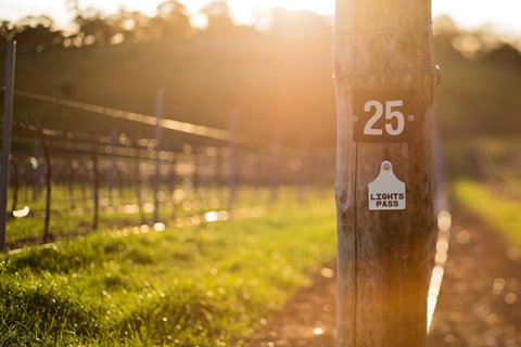 The Louise - Northern Rivers Accommodation 44