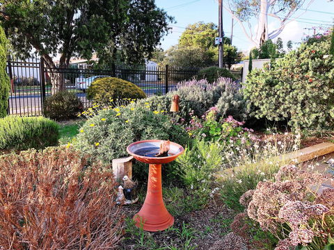Beautiful Garden House - Northern Rivers Accommodation 21