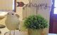 Baronet B & B - thumb 6