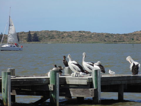 Baronet B & B - Northern Rivers Accommodation 20
