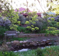 Frog Song at Willunga - Northern Rivers Accommodation