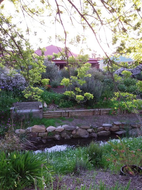Frog Song At Willunga - Northern Rivers Accommodation 0