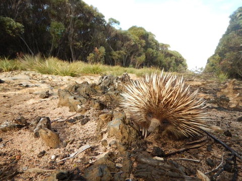Kangaroo Island Wilderness Retreat - Northern Rivers Accommodation 20