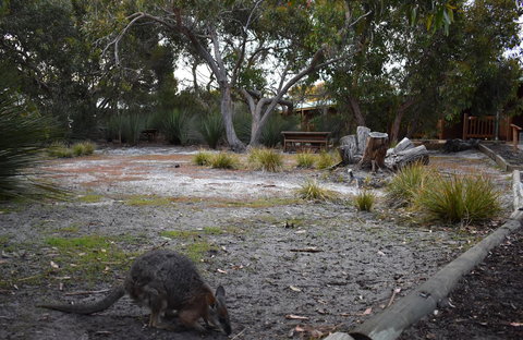 Kangaroo Island Wilderness Retreat - Northern Rivers Accommodation 1
