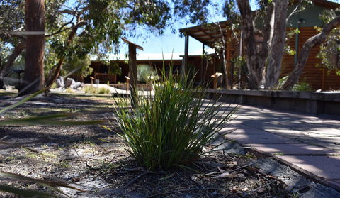 Kangaroo Island Wilderness Retreat - Northern Rivers Accommodation 21