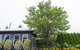 S T U D I O 22 Peaceful Retreat With Garden Views - thumb 11