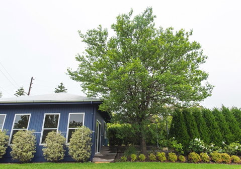 S T U D I O 22 Peaceful Retreat With Garden Views - Northern Rivers Accommodation 11