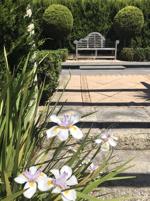 S T U D I O 22 Peaceful Retreat With Garden Views - Northern Rivers Accommodation 13