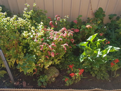 Tanunda\'s Magpie House - Northern Rivers Accommodation 24