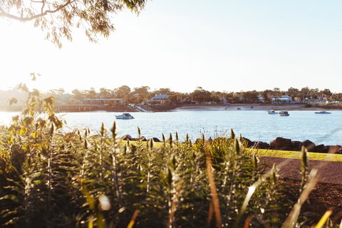 Majestic Oasis Apartments - Northern Rivers Accommodation 4